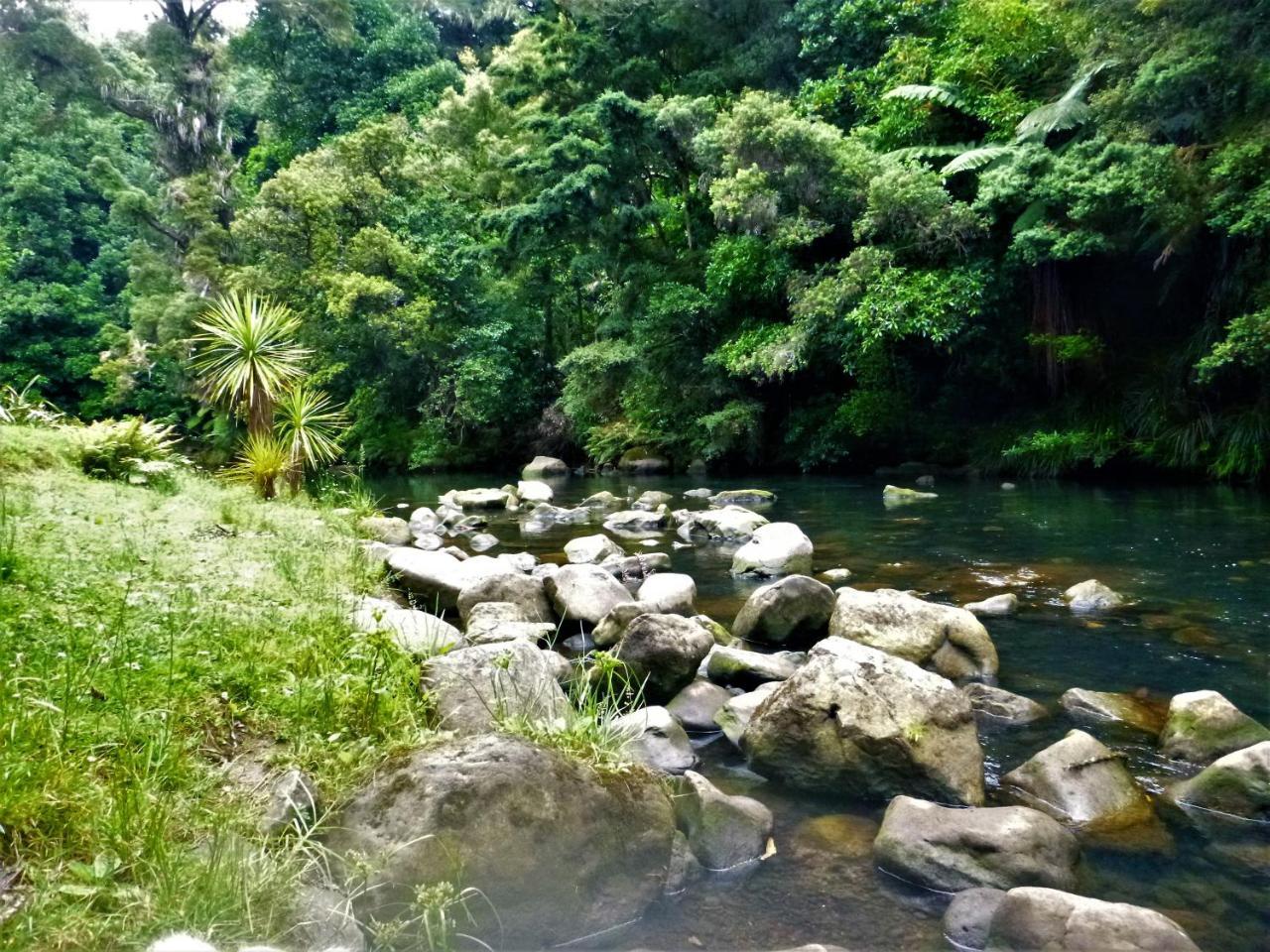 Kauri Nest Bed & Breakfast วานกาไร ภายนอก รูปภาพ