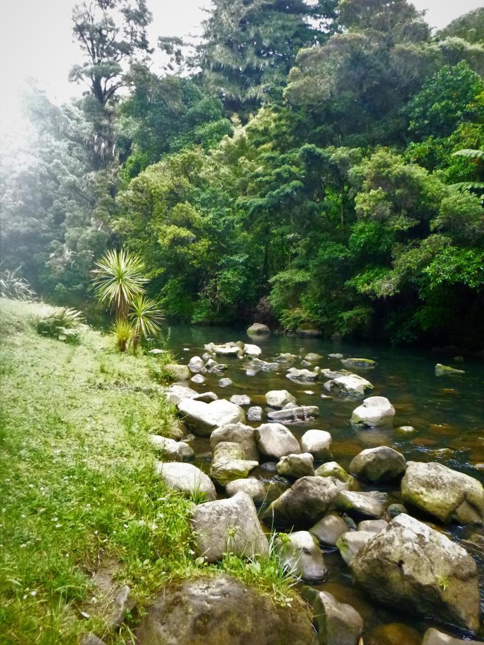 Kauri Nest Bed & Breakfast วานกาไร ภายนอก รูปภาพ