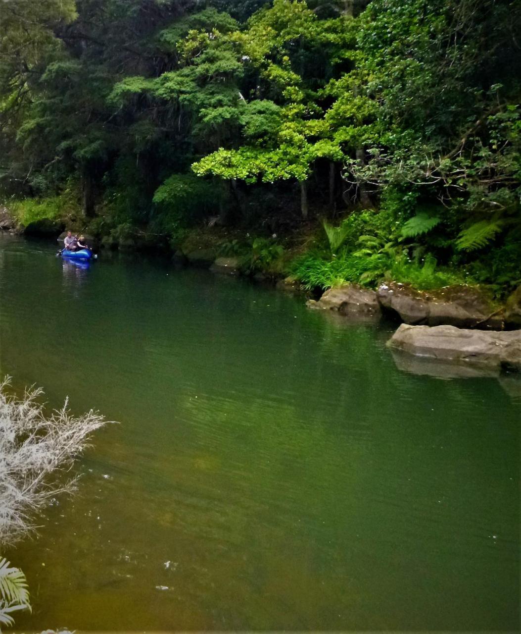Kauri Nest Bed & Breakfast วานกาไร ภายนอก รูปภาพ