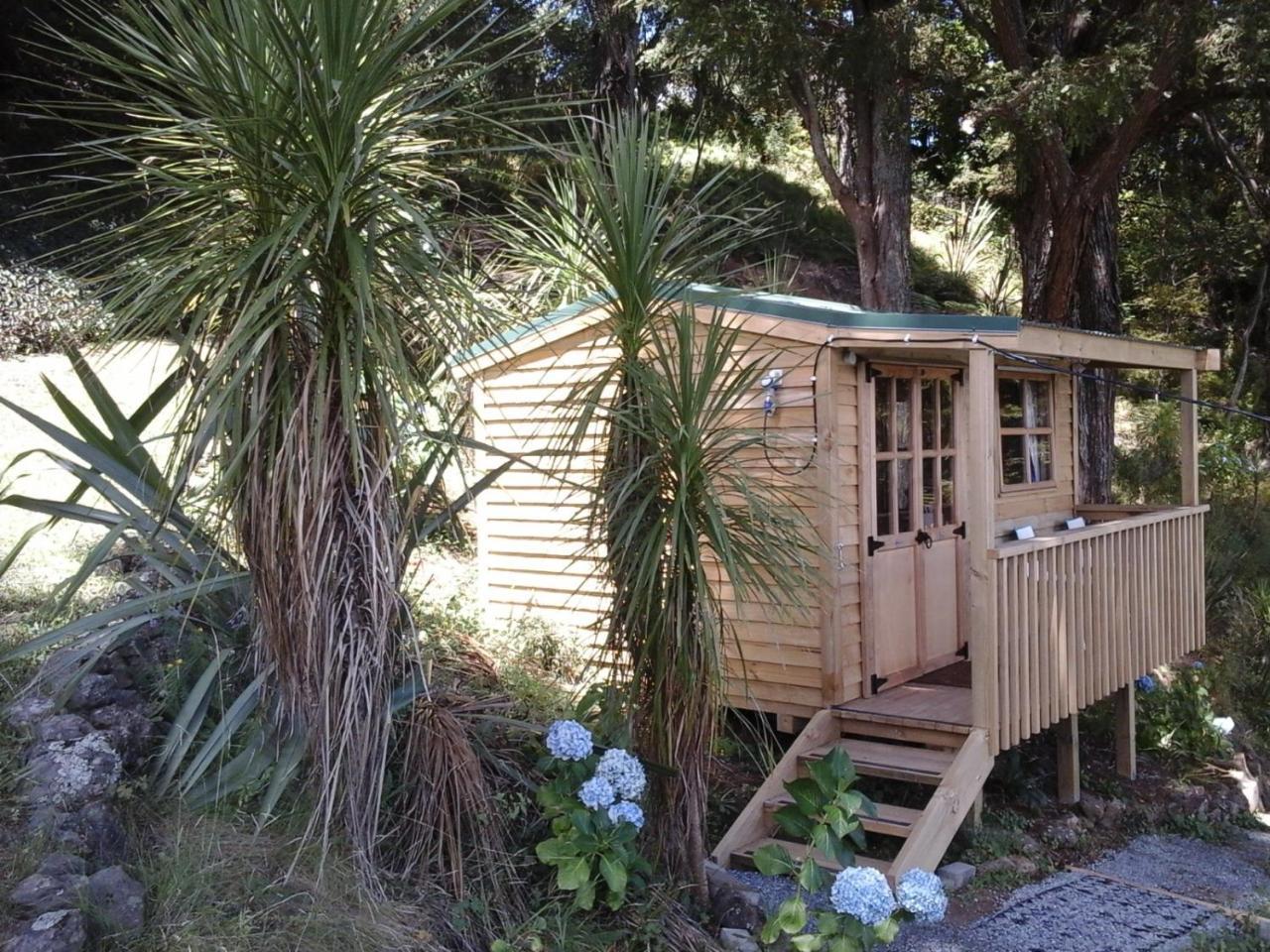 Kauri Nest Bed & Breakfast วานกาไร ภายนอก รูปภาพ