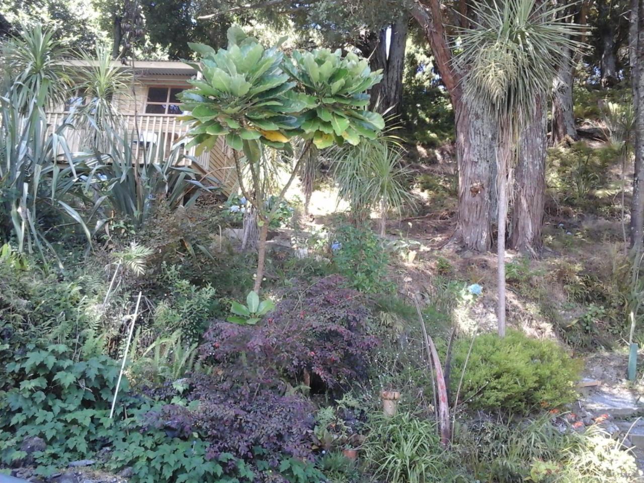 Kauri Nest Bed & Breakfast วานกาไร ภายนอก รูปภาพ