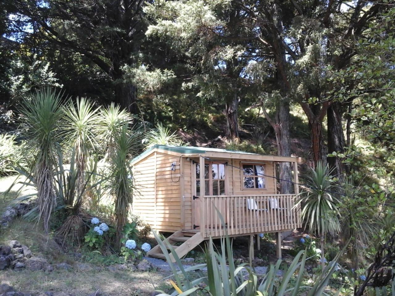 Kauri Nest Bed & Breakfast วานกาไร ภายนอก รูปภาพ