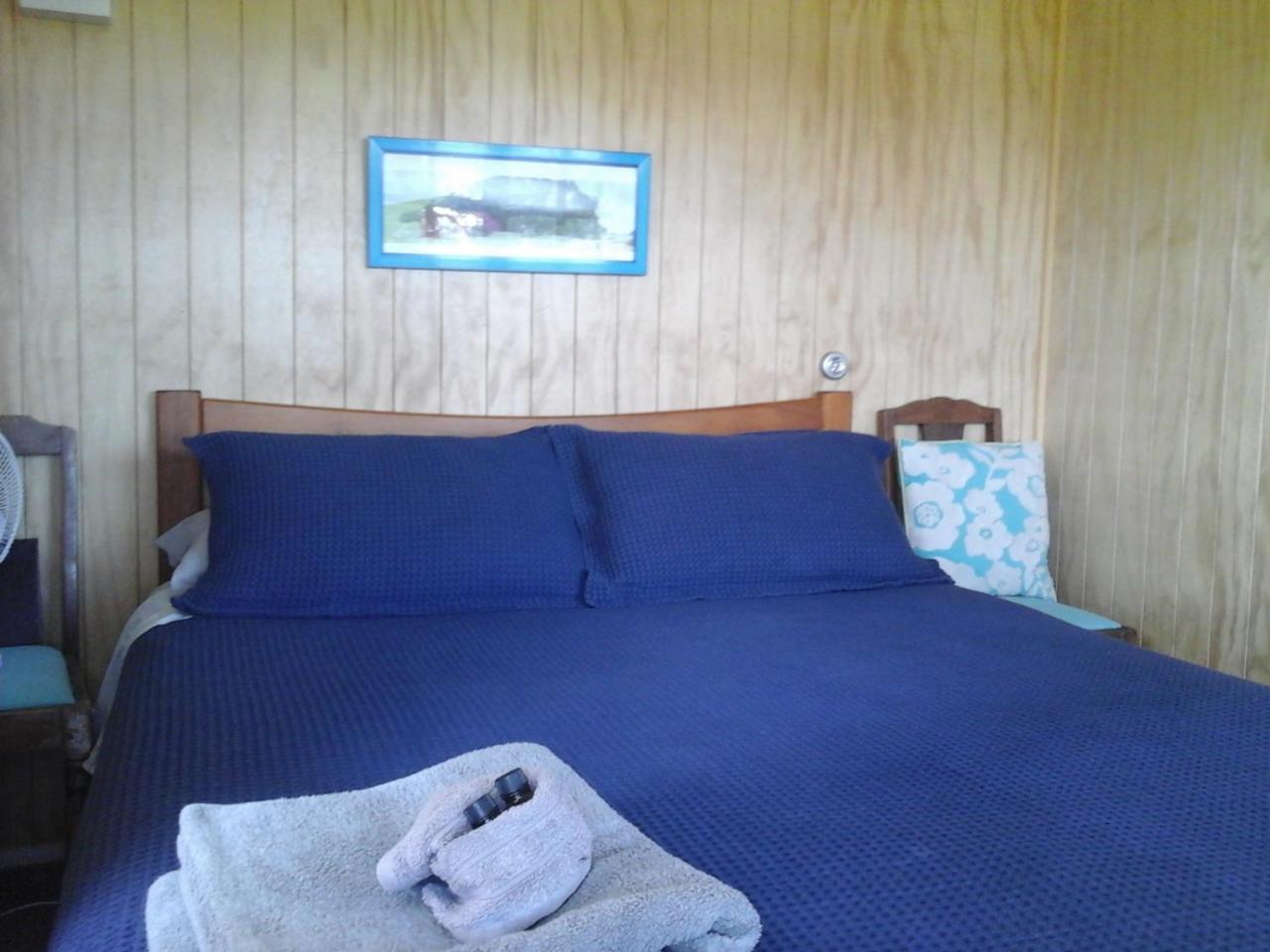 Kauri Nest Bed & Breakfast วานกาไร ภายนอก รูปภาพ