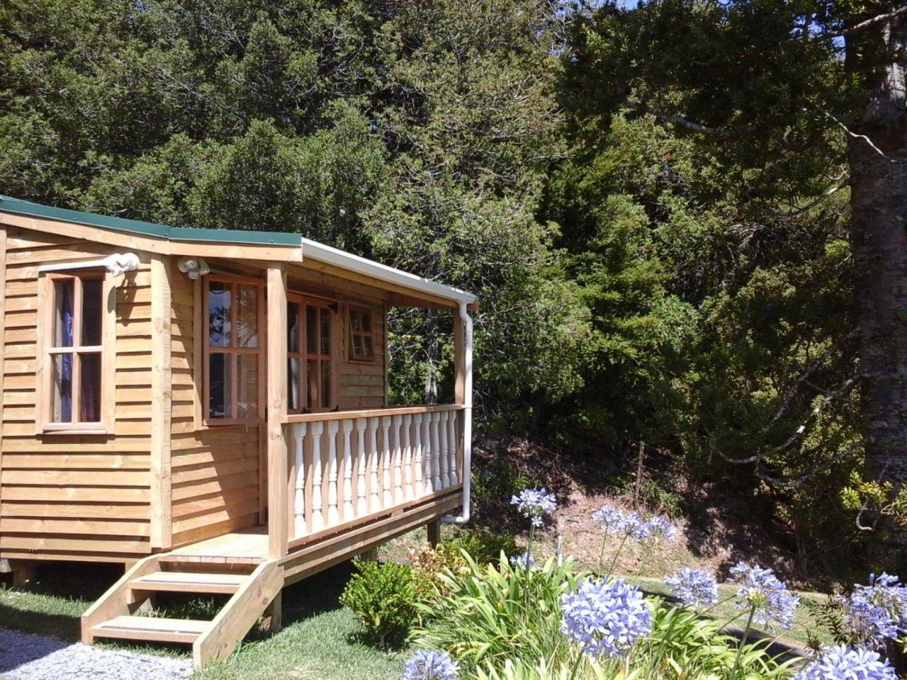 Kauri Nest Bed & Breakfast วานกาไร ภายนอก รูปภาพ